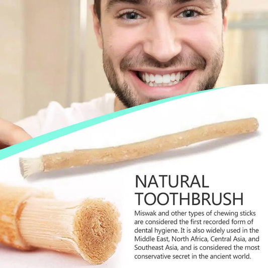 Natural Toothbrush